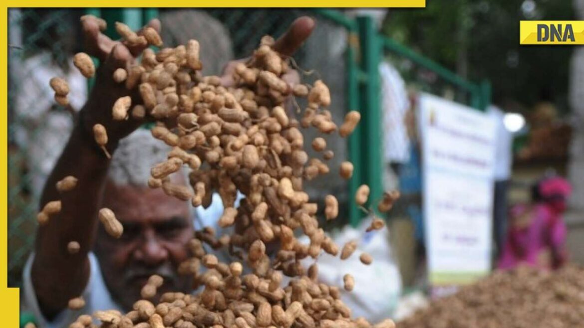 Health_benefits_of_Moongfali