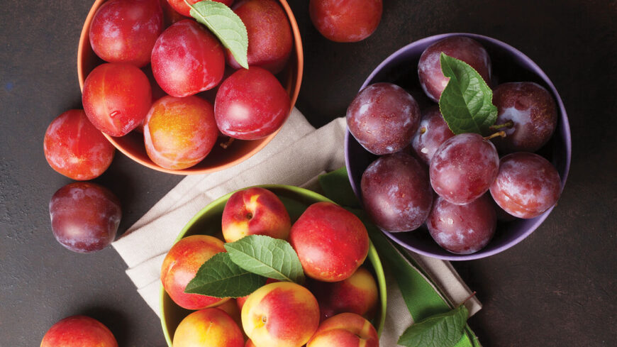 5_Stone-Fruit